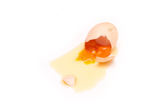 The fallen organic egg lies broken with the eggshell smashed and white flowing out of it. The yolk is hard already, almost rotten. 