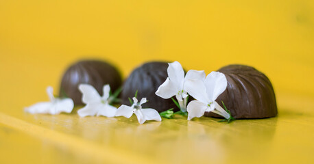 white delicate flowers on a background of three chocolates on a yellow background