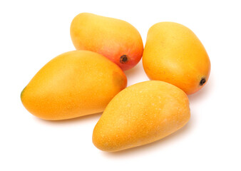mangos on a white background 