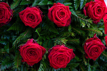 A wreath of red roses flowers against the background of the white and red Polish flag during funeral and patriotic ceremonies 