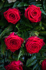 A wreath of red roses flowers against the background of the white and red Polish flag during funeral and patriotic ceremonies 