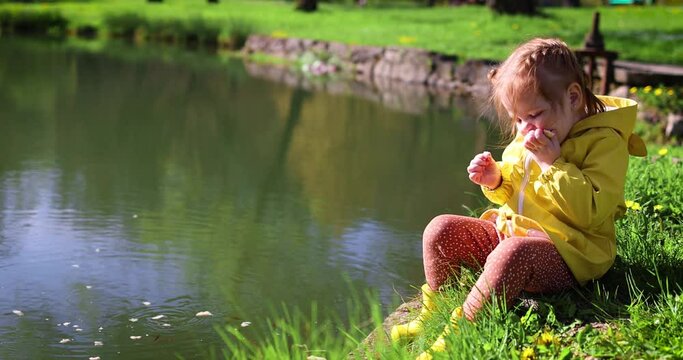 a toddler baby girl eats bread and shares it with fish in a pond. animal lover