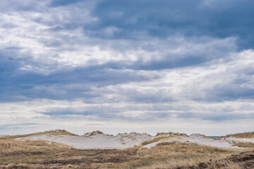 Dunes on Skallingen at the North Sea in rural western Denmark