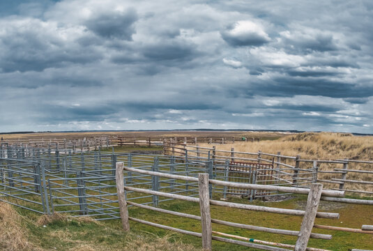 Shepfold on Skallingen in rural western Denmark