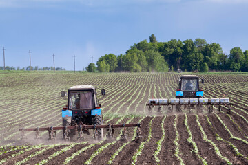 Fototapeta premium field work in agriculture. farmer's tractor harrows the field after planting seeds. tractor and seeder planting crops on a field.