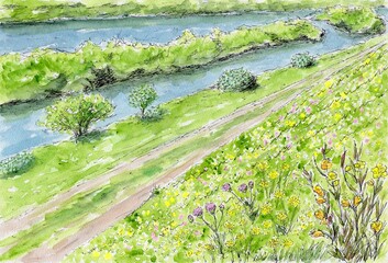 川土手に咲く初夏の花々