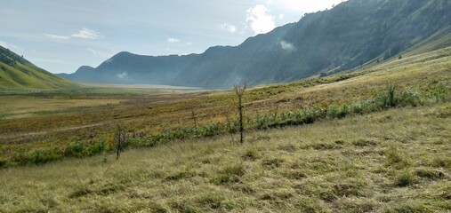 The beauty of Mount Bromo Tengger meadow
