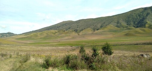 Fototapeta premium The beauty of Mount Bromo Tengger meadow