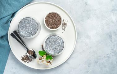 Dessert with chia seeds and coconut milk on a gray background. Top view, copy space.