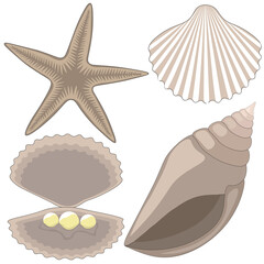  Undersea world. Starfish, seashells, pearls in the shell. Vector, clipart.
