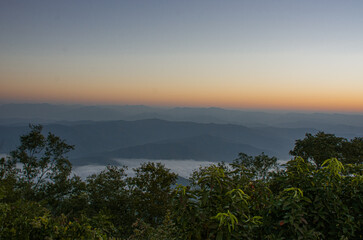 Dawn of Sea Fog on the top of the Sierra Early morning at Doi Samer Dao, Nan, thailand