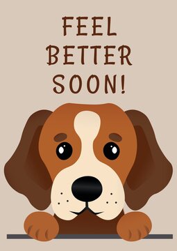 Composition of feel better soon message and brown dog portrait on beige background