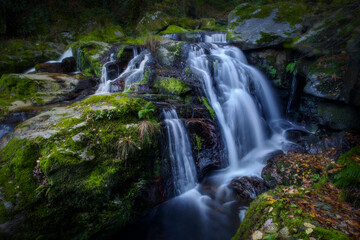 Fototapeta na wymiar small waterfall in a Galician forest, long exposure photo