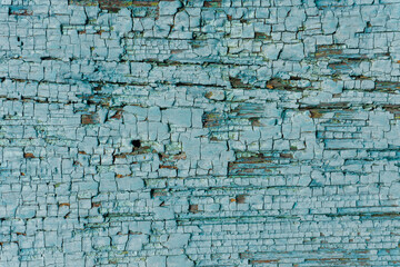 Old paint texture wood background. Blue peeling paint on a wooden surface.