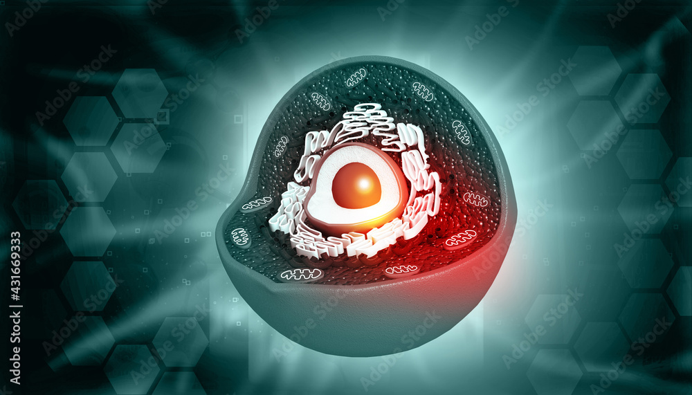 Sticker human cell cell anatomy background. 3d illustration.