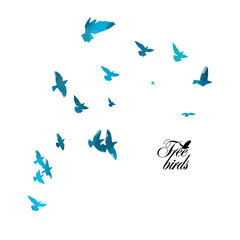 Bird watercolor. A flock of colorful birds. Mixed media. Vector illustration