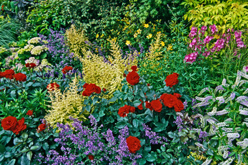 Panele Szklane  Kolorowe stowarzyszenie kwiatów w mieszanym obramowaniu