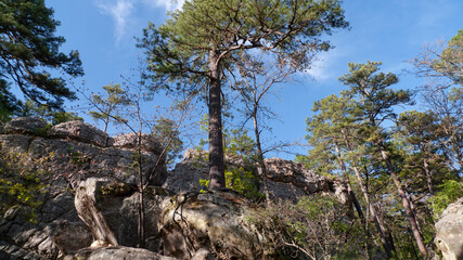 Robber's Cave State Park, Wilburton, Oklahoma, Stream in the mountains