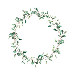 Watercolor spring plants wreath. Hand drawn botanical frame isolated on white background. Branch with leaves