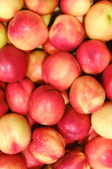 Red fresh nectarines, food background close-up