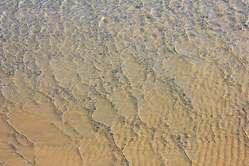 Small shiny waves near the shore.