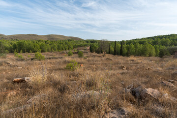 Fototapeta premium mountainous landscape in southern Spain