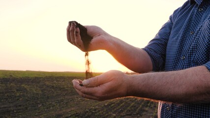 In hands of farmer, he holds handful of fertile land in sunshine on field in spring. Agriculture, agribusiness. In palms of gardener holds and pours humus, fertilized soil. Agriculture and fertility. - obrazy, fototapety, plakaty