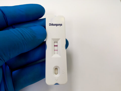 Close view of technician or technologist hand hold a device of chikungunya virus rapid screening test, showing positive  result.