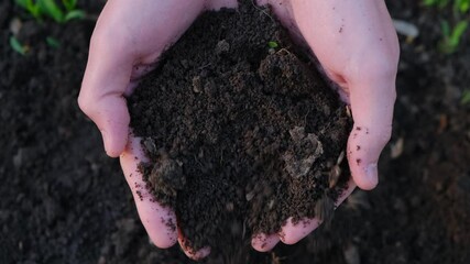 Farmer and agriculture. Farmer holds fertile soil in his hands, close-up