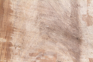 Old Wood Tree Texture Background Pattern