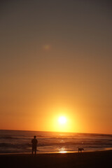 sunset on the beach with a man and dog