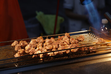 grilled meat on the grill