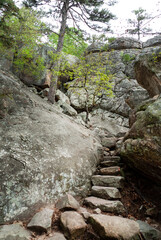 Fototapeta na wymiar Robber's Cave State Park, Wildberton, Oklahoma, Stream in the mountains