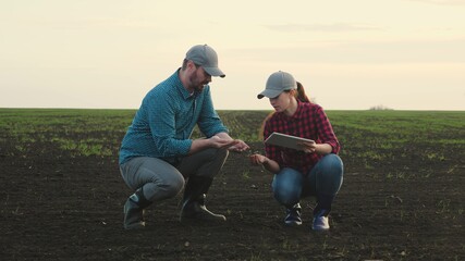 Business man and an agronomist are studying seedlings of crops in field. Business people teamwork. Farmers man, woman work in field with computer tablet. Smart farming technologies in agriculture - obrazy, fototapety, plakaty