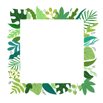 Square frame made of various green leaves. Summer tropical border template,freshness of green foliage. Vector illustration.