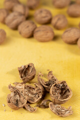 Close-up of pile of walnut shells. Walnuts in the background
