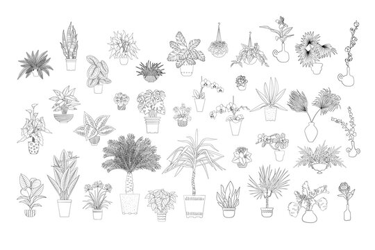 Set of various monochrome tropical house plants in planters. Black line art. Stock vector illustration.