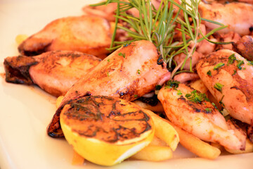Mediterranean food, grilled squid - Vrsar, Croatia	
