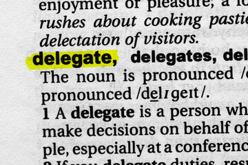 Highlighted word delegate concept and meaning.