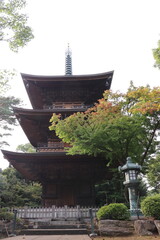 豪徳寺の三重塔