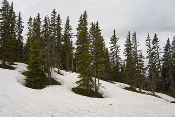 Schnee beim Wandern im Sommer