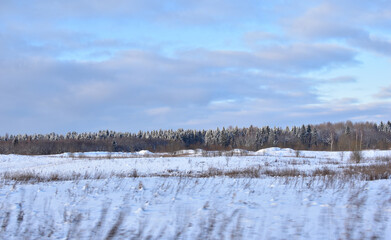 Winter landscape with trees