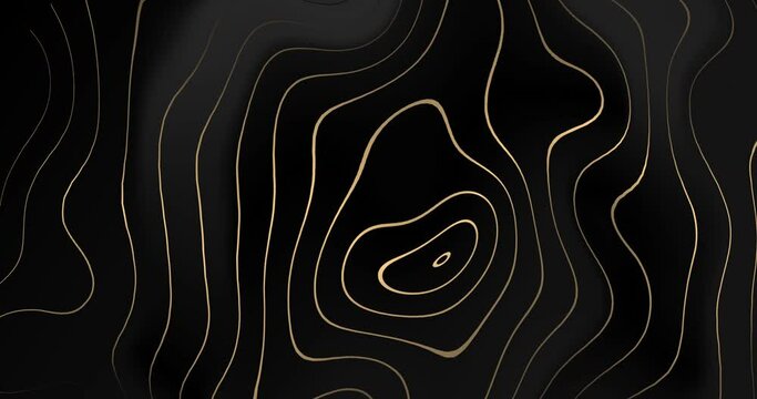 4k Abstract black shine glow and gold luxury animated background. Modern premium wavy minimal design. Semicircular soft round shapes with golden moves lines. Elegant wavy circular lines illustration