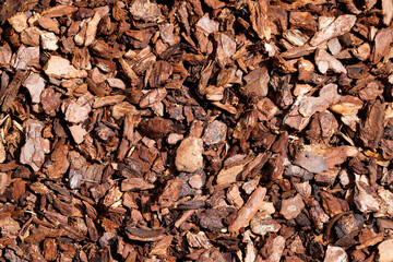 Pine bark for natural weed control in the garden. Brown bark mulch as a background. - obrazy, fototapety, plakaty
