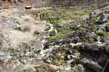 群馬の名所　中之条　チャツボミゴケ公園