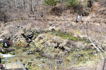 群馬の名所　中之条　チャツボミゴケ公園