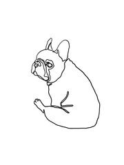 Hand drawn illustrations of French Bulldog line art. Minimalist style drawing. One line artwork design for print, cover, wallpaper, minimal wall art.