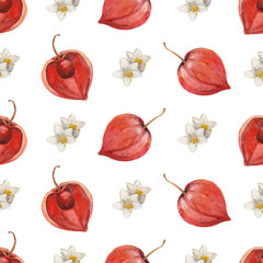 Seamless watercolor pattern with fruits and flowers of physalis