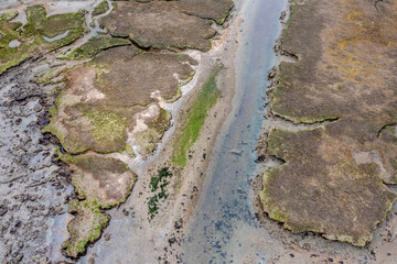 mudflats