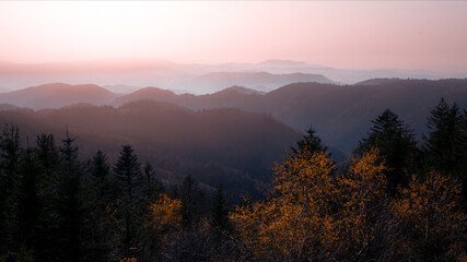 Fototapeta na wymiar Amazing panorama of autumnal autumn fog landscape in black forest panorama banner long in the morning, with colorful orange red leaves